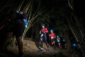 BIB: 
                            <button type="button" onclick="openModal(19395045)" class="btn btn-primary btn-sm float-right btn-popup" data-toggle="modal" data-target=".modal-high-quality">
                        <i class="fas fa-shopping-cart"></i> Add to Cart
                    </button>
                                            <button type="button" onclick="isThisMe(19395045, true)" class="btn btn-success btn-sm float-right btn-popup btn-isme hidden" data-toggle="tooltip" data-placement="bottom" title="นี่คือรูปของคุณใช่ไหม คลิกที่นี่เพื่อเอาเข้าอัลบั้ม">
                        <i class="fas fa-plus"></i> Add to album
                    </button>
                    <button type="button" onclick="isThisMe(19395045, false)" class="btn btn-warning btn-sm float-right btn-popup btn-isnotme hidden">
                        <i class="fas fa-ban"></i> Remove from album
                    </button>